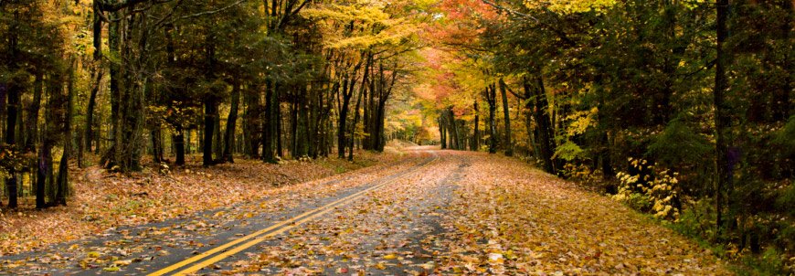 Blue Ridge Parkway in Fall